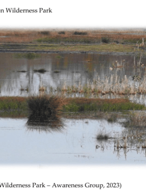 The dream of the UNESCO Biosphere Reserve of the Mid Shannon Biosphere &&nbsp;Environs